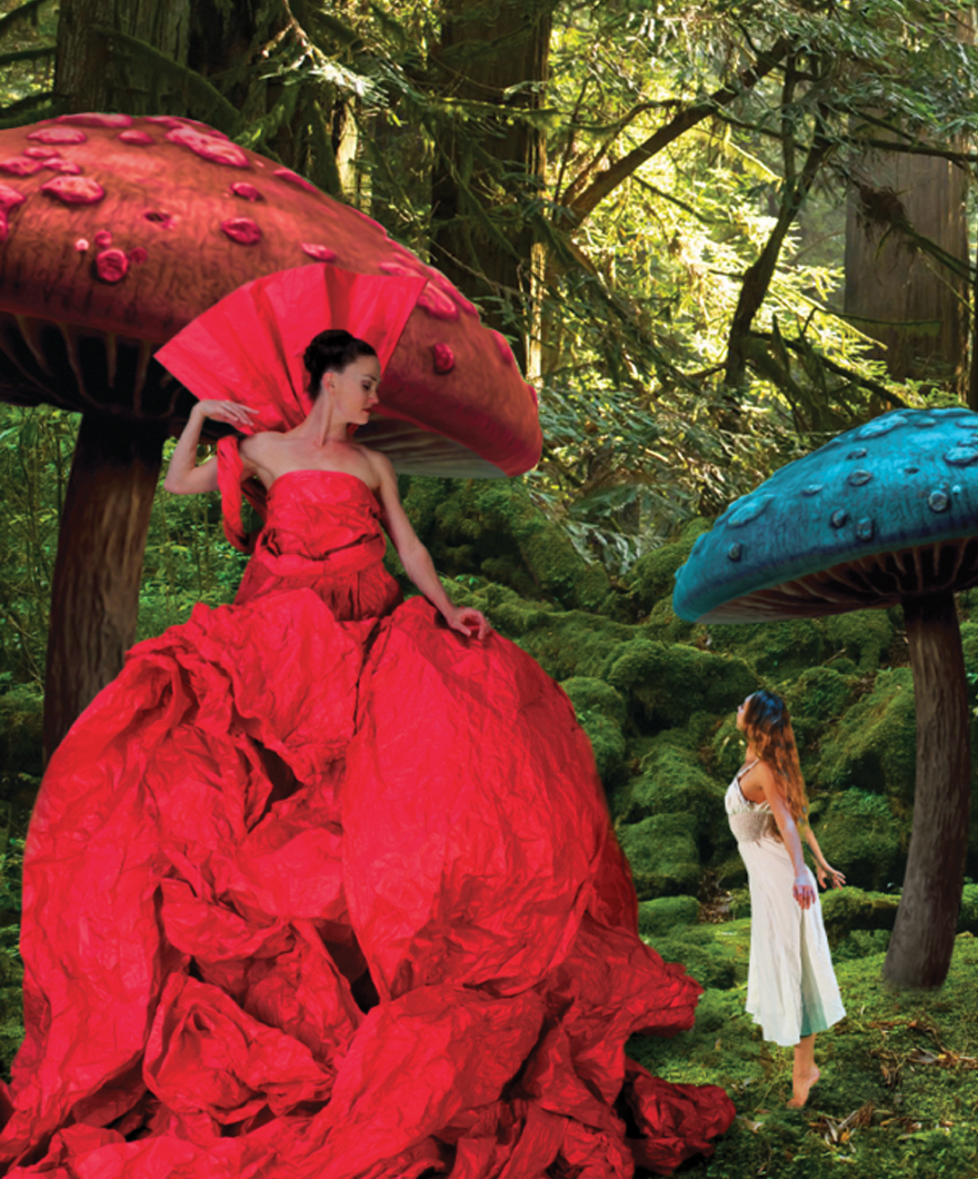 MOMIX performers from their production of Alice