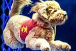 06-stuntdog.jpg Chris Perondi’s Stunt Dog Experience
