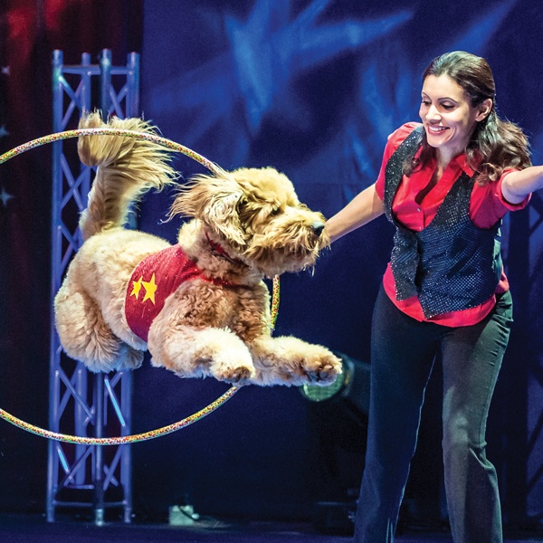 A dog jumping through a hoop held by a smiling trainer.