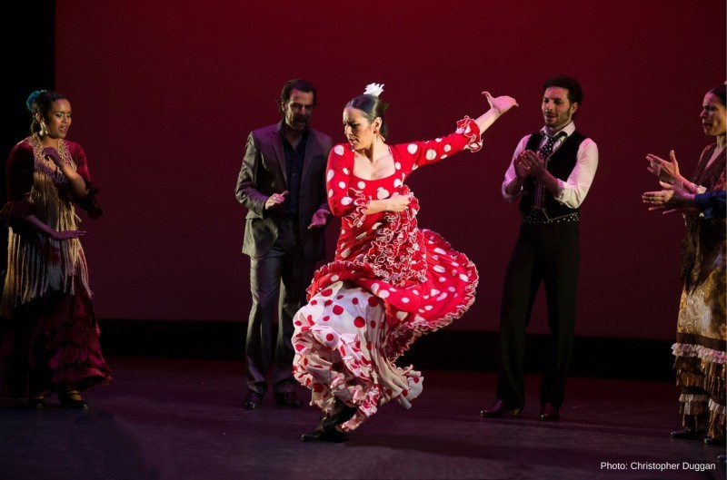Members of Flamenco Vivo Carlota Santana on stage, a woman in a red and white polka-dot dress dancing with one arm held out, other members clap in the dark background.