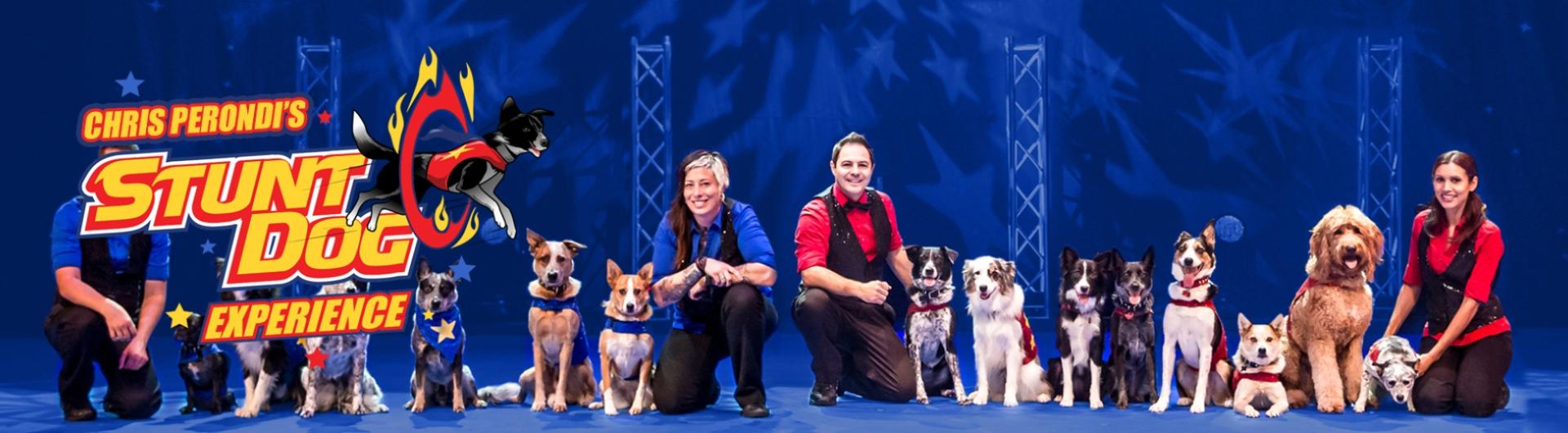 The trainers and dogs of the show lined up and posing on stage.