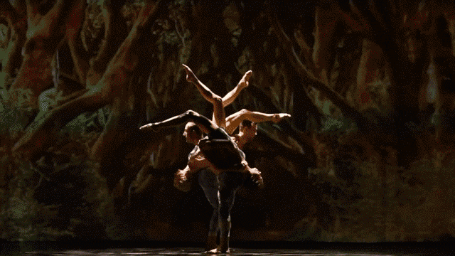 Scenes from MOMIX&#039;s Alice in a GIF, showing dancers intertwined, Alice in a white dress, and Alice crawling on the ground as though a spider.