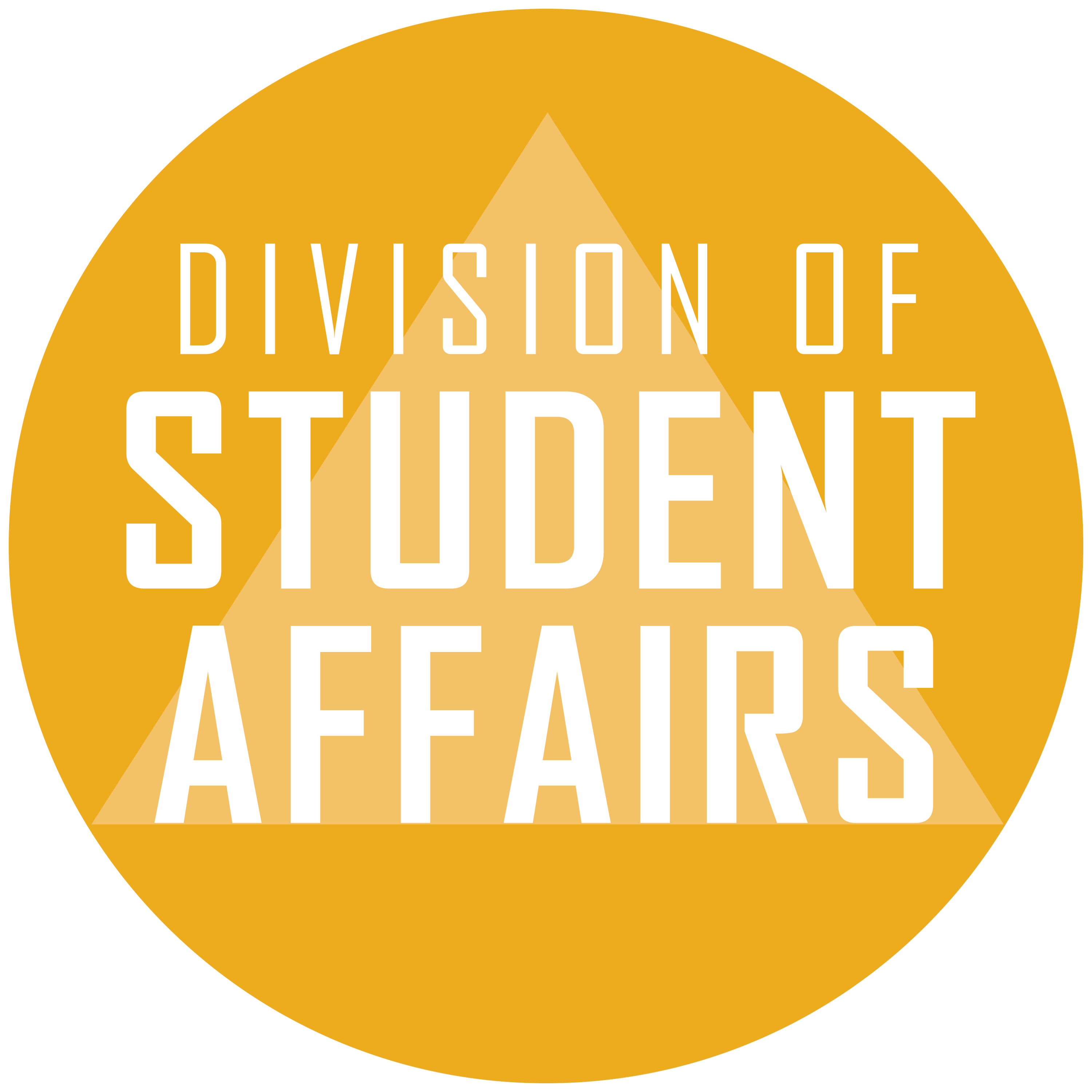 Division of Student Affairs text within a gold circle with a background of a triangle/pyramid.